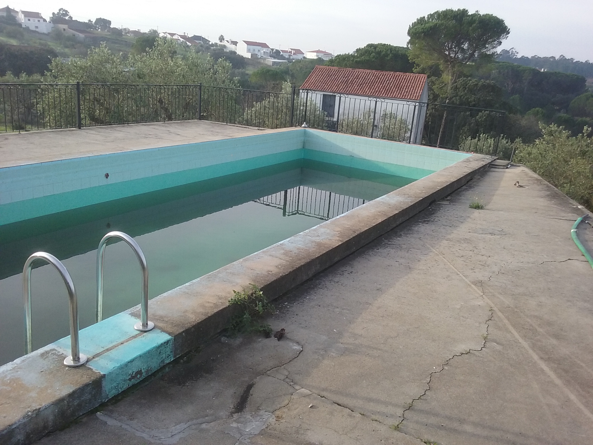 Transformação de piscina Image 4